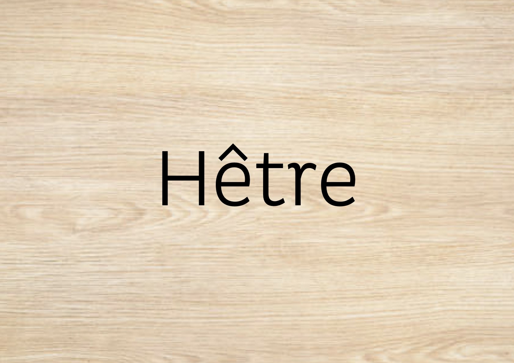 Hêtre