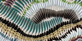 Prete moi ta plume – Les Prints